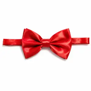 Red Bow Tie with a luxurious satin finish and adjustable clip fastening for weddings, black tie events and formal occasions.
