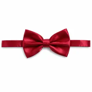 Burgundy Satin Bow Tie with a luxurious satin finish and adjustable clip fastening for weddings, black tie events and formal occasions.
